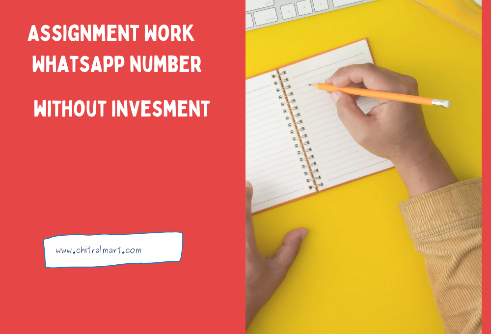 Assignment work without investment WhatsApp number